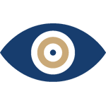 vision_icon